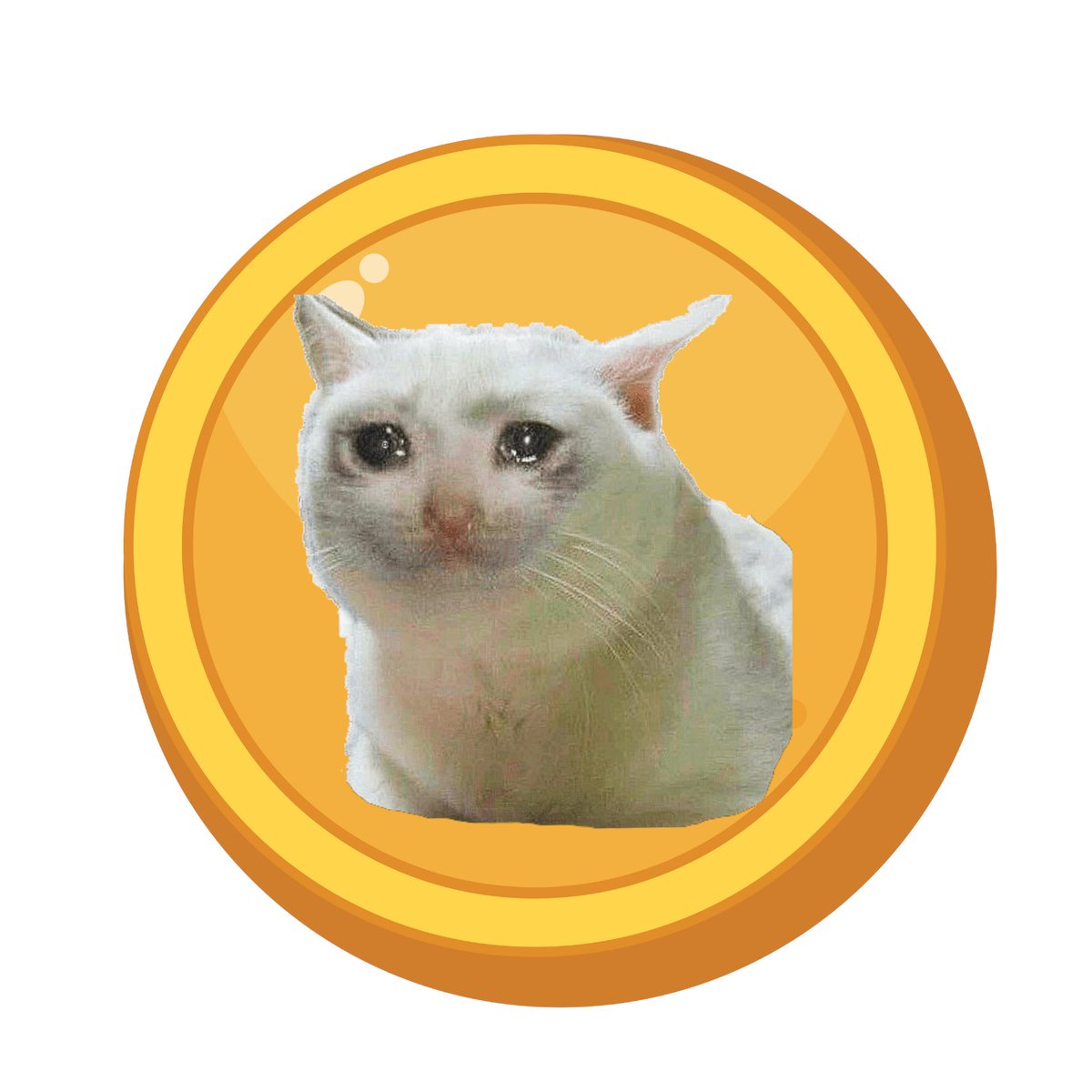 CryCatOfficial's tweet photo. $CRYCAT to the moon #memecoin #MemeCoinSeason #Crypto https://t.co/t6YAvSCboX