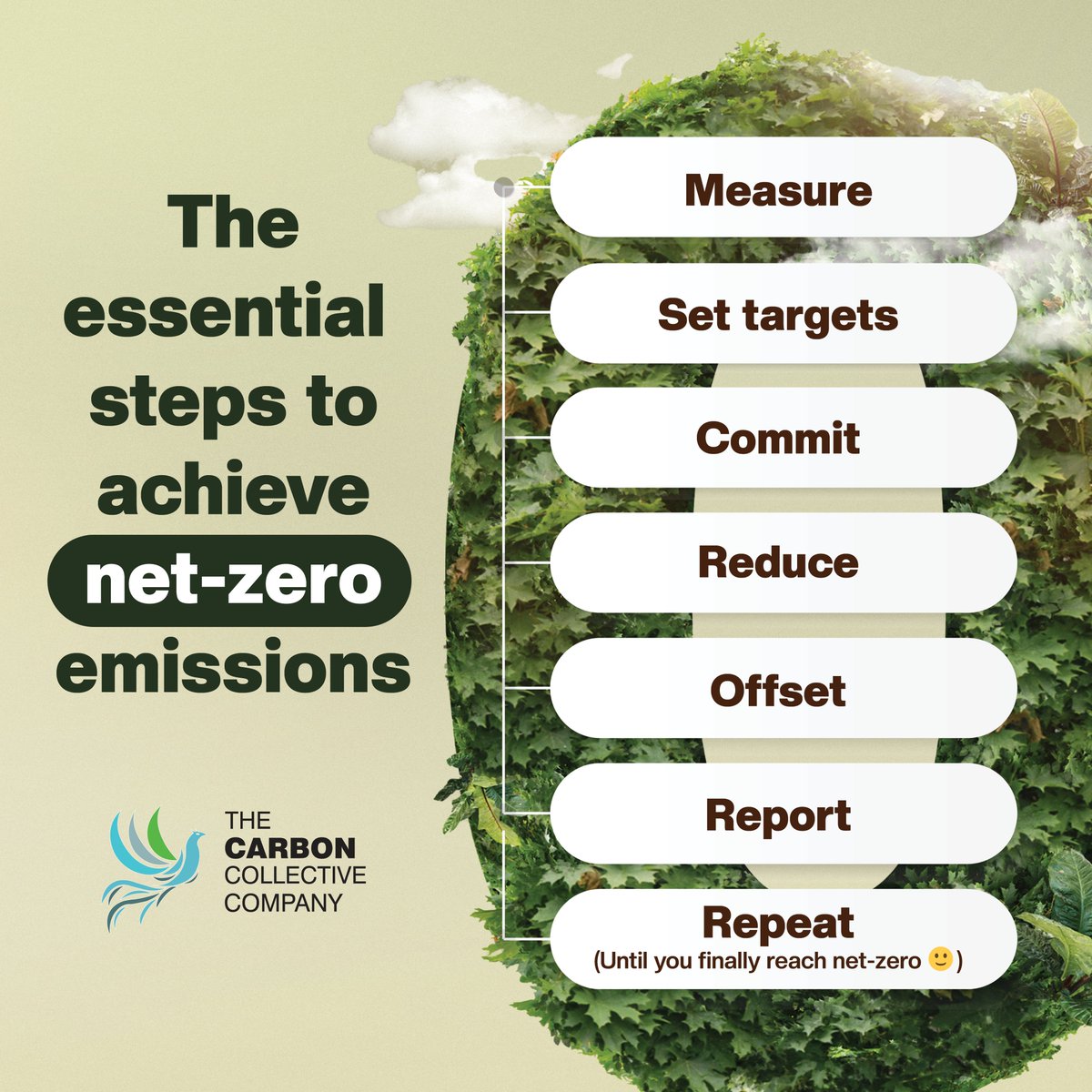 TheCarbonCC's tweet photo. Whilst many businesses worldwide have made their pledges and are working towards achieving net-zero emissions, many are yet to start due to the complexities that surround the topic!

Here’s some of the essential steps to take towards reducing your businesses carbon footprint! https://t.co/Rz88klg2fC