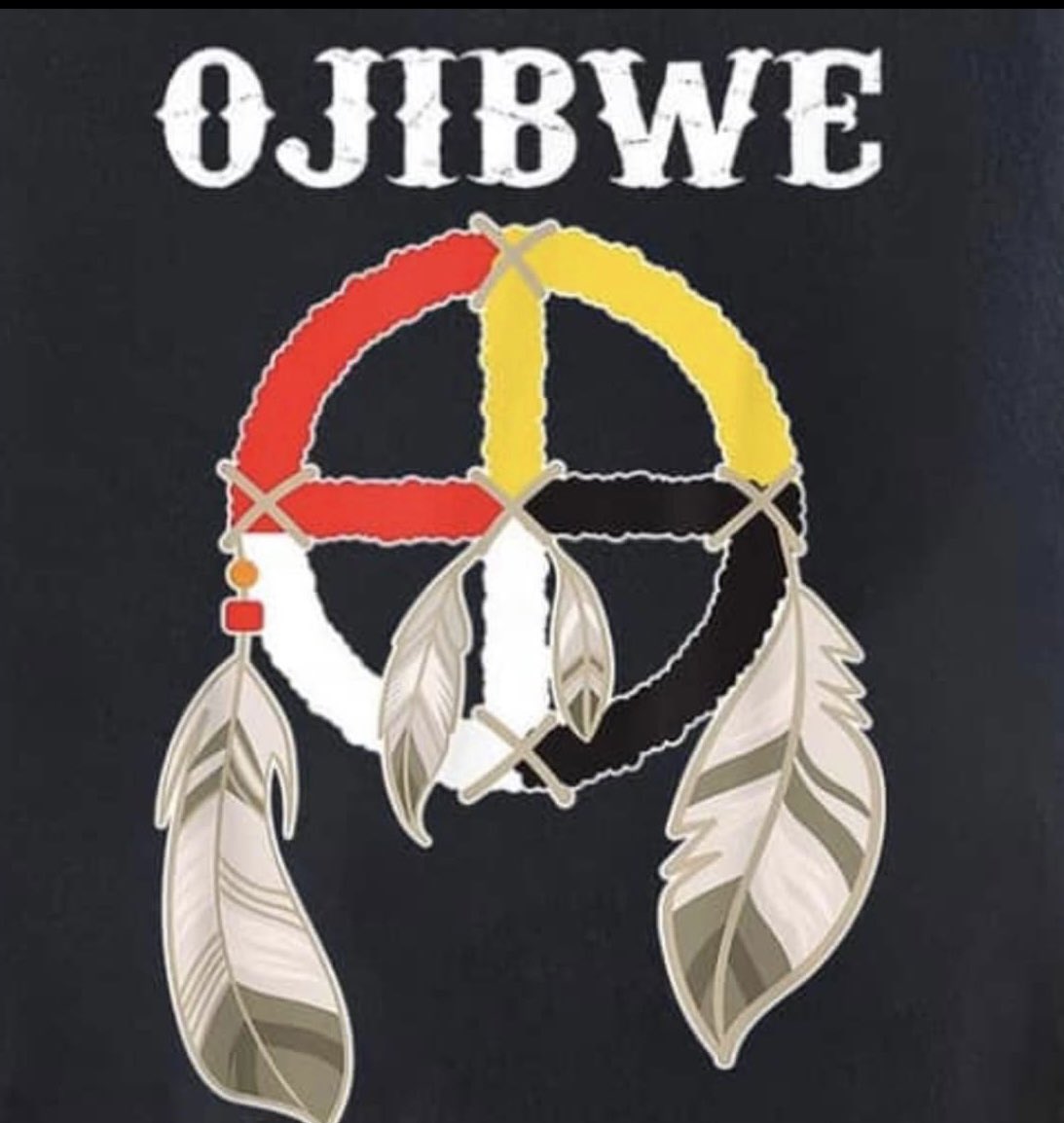 Leonard Nolan (@leonardnolan) on Twitter photo 