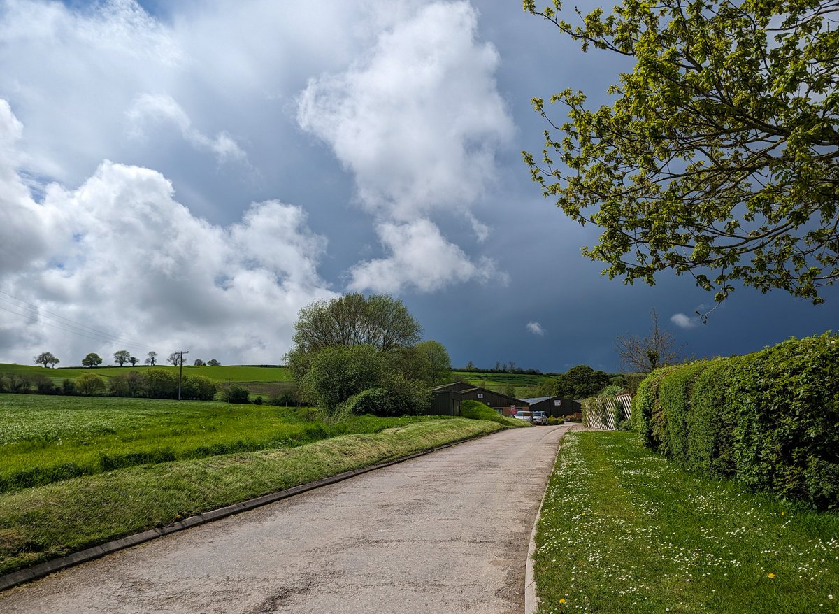 Glynn Adams ♌☀️☃️⚽ tweet media