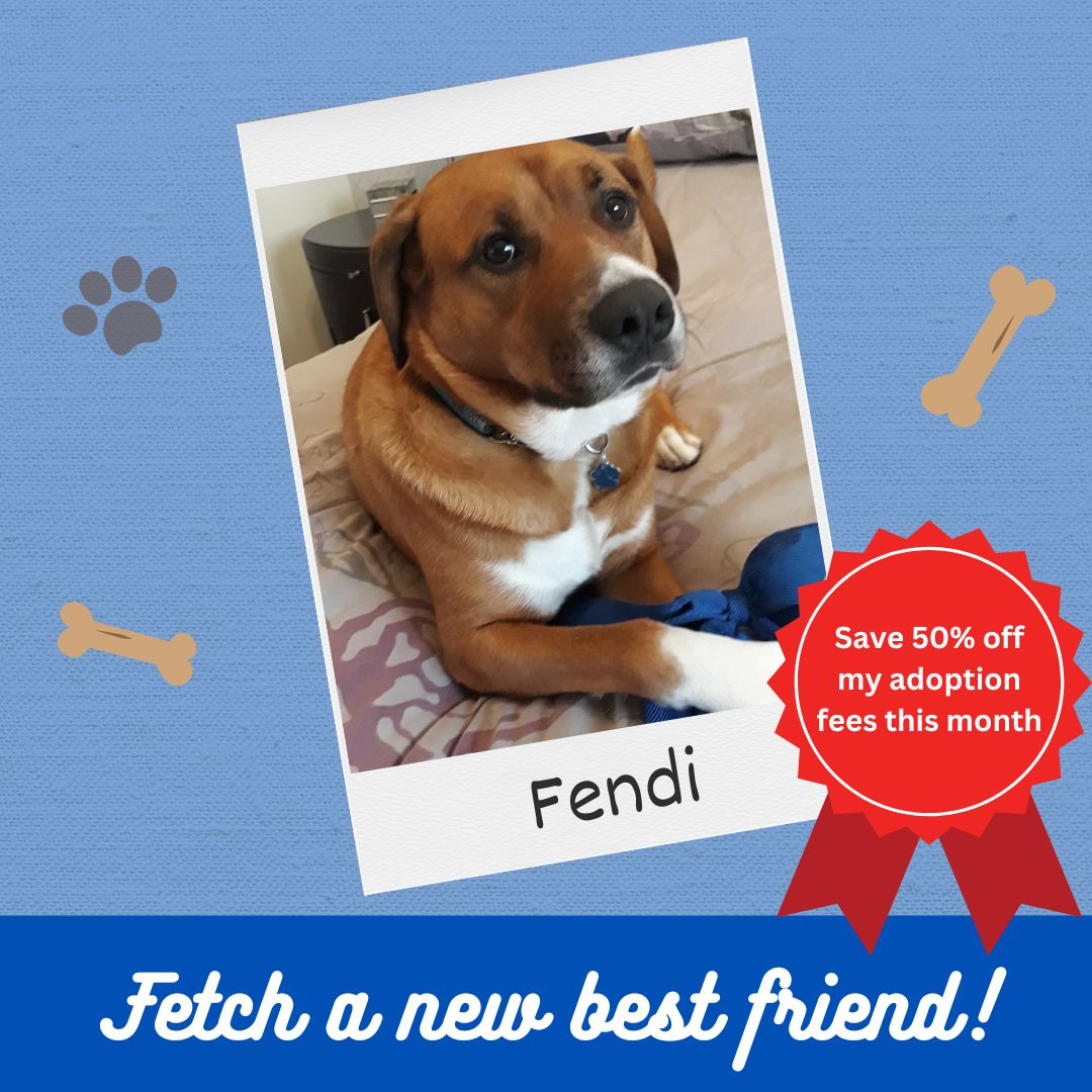 Oakville Humane tweet media