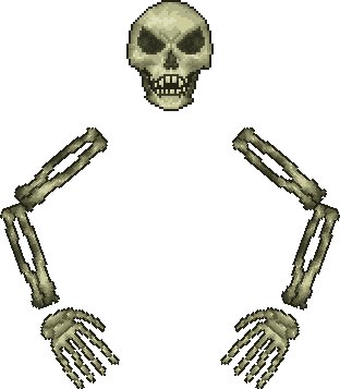 PlatinumYT__'s tweet photo. SPOILET ALERT: WE DEFEATED SKELETRON... https://t.co/vdk5MZ4N8A