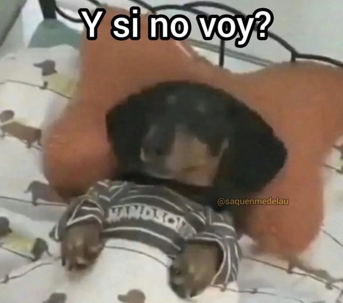 Guarromantico_'s tweet photo. Cuando suena mi alarma y me pongo a reflexionar si de verdad necesito trabajar. https://t.co/EeT7LqtT2I