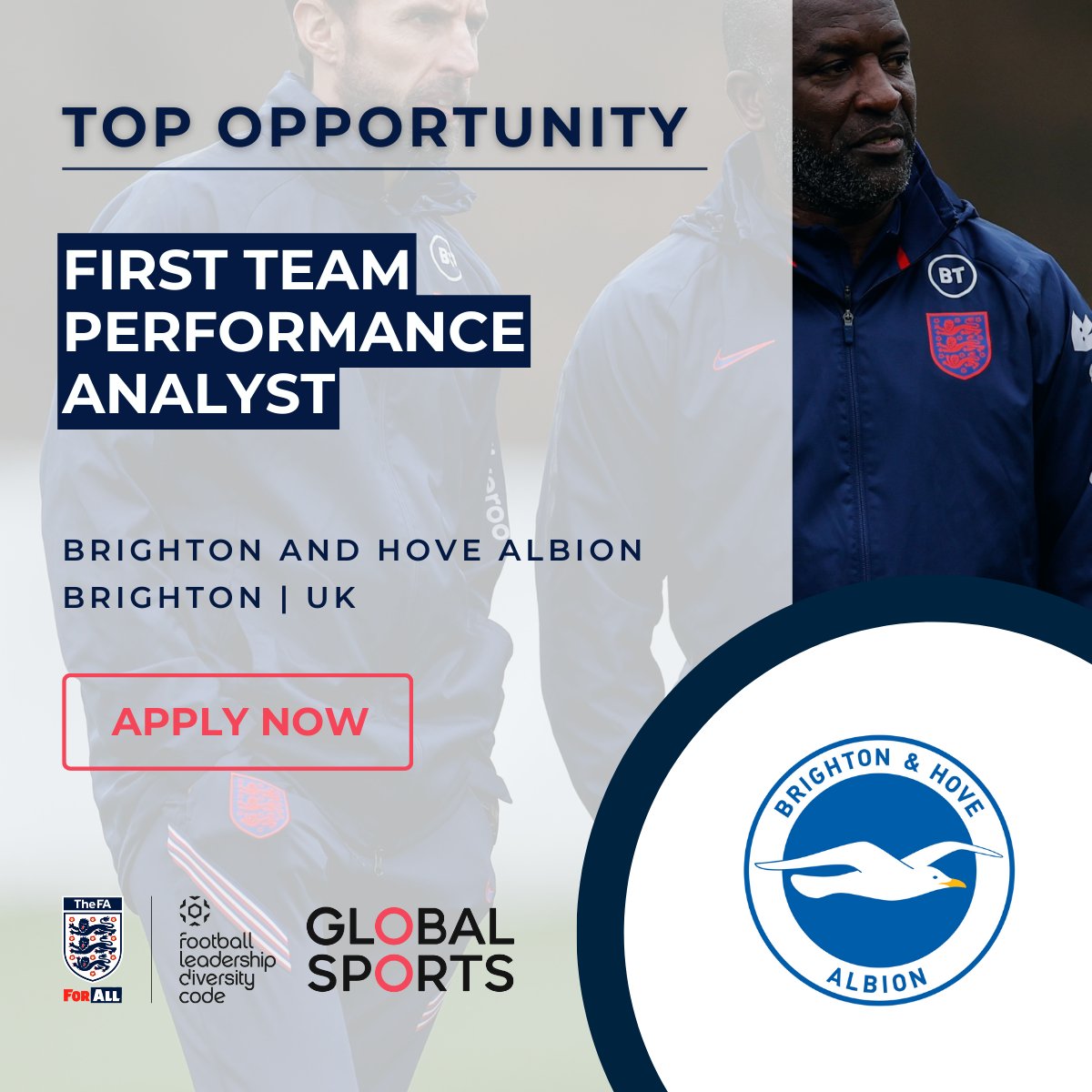 Global Sports on Twitter "Brighton and Hove Albion are looking for a