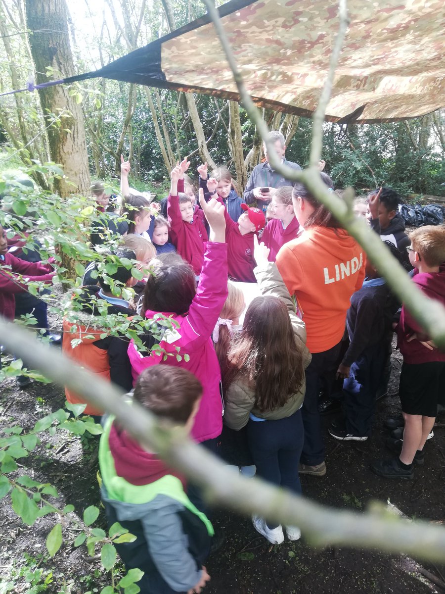 woodlandlearn's tweet photo. Thanks to #owlscotland through @scotsforestry, we're delivering supported outdoor learning through the Special Teacher Support Project Grant @EkVincents. Amazing input from everyone today 🙌🌳🙌#empowerteachers #outdoorlearning #newskills https://t.co/wNgoz4jeRY