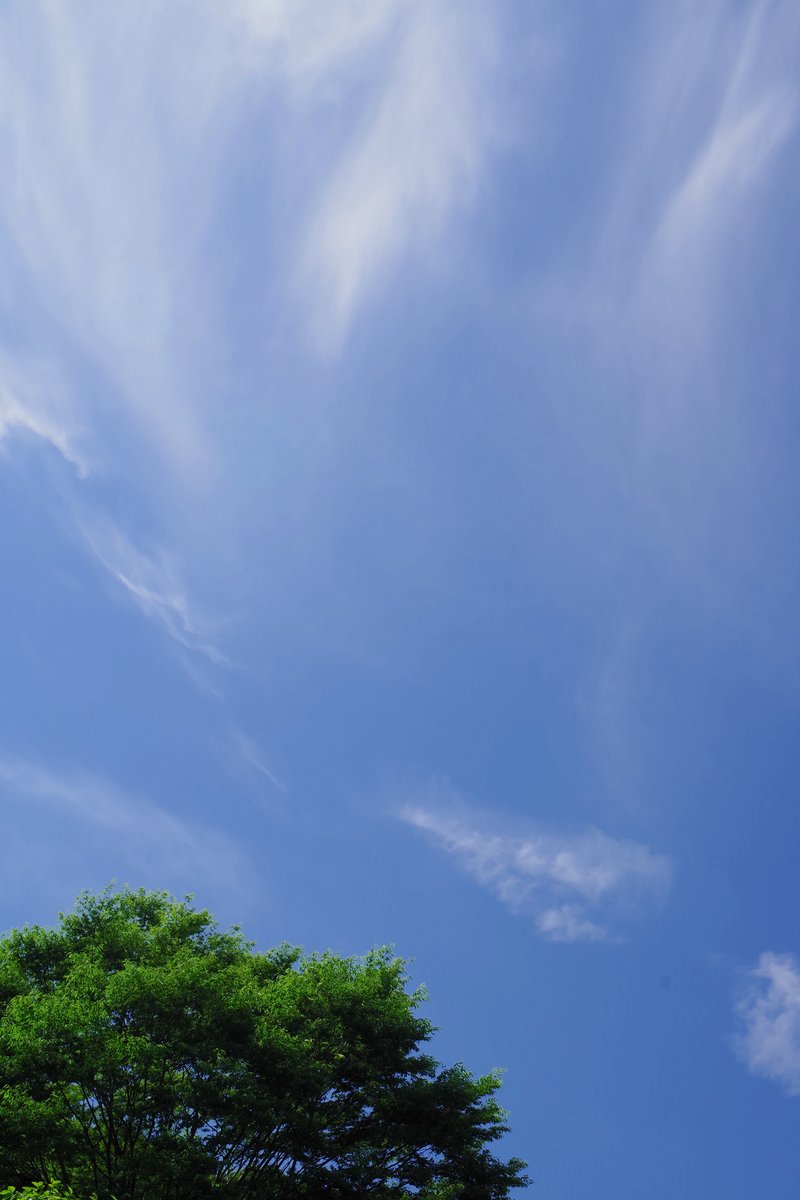 emiripapas's tweet photo. 同じ空をこちらはKFで。リバーサルモードだとちょっと紫寄りになります。あとやっぱり暗部が潰れるというレンジの狭さがあるので後処理で少しだけ持ち上げています。フィルム時代の覆い焼き的な感覚です。#pentax_kf https://t.co/4F9q3lXhij