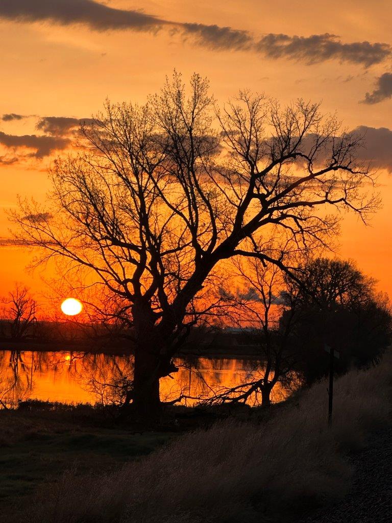 Good Morning Brown County!
#Sunrise #PrairieSunrise #BrownCountySD #AberdeenSD 
photo credit: Mike Scott, Brown County Landfill Manager