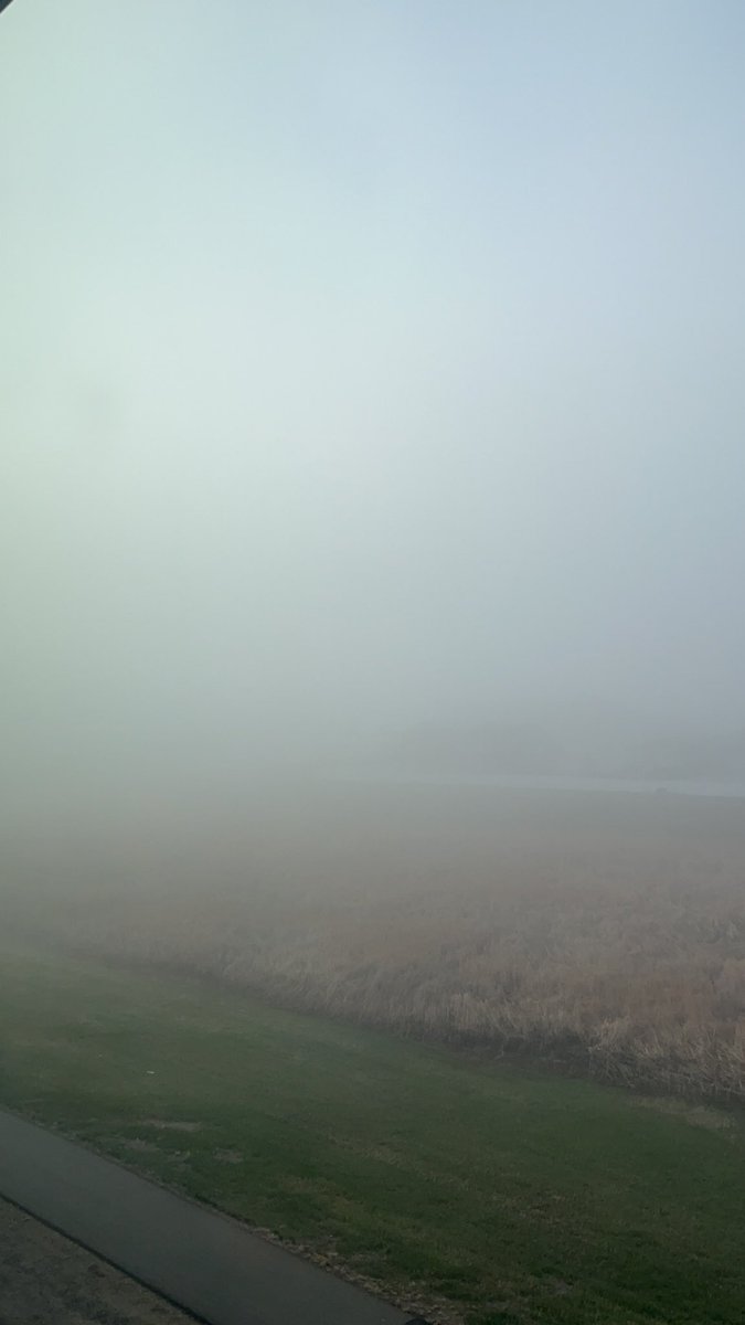 Little fog action this morning….
#SESask