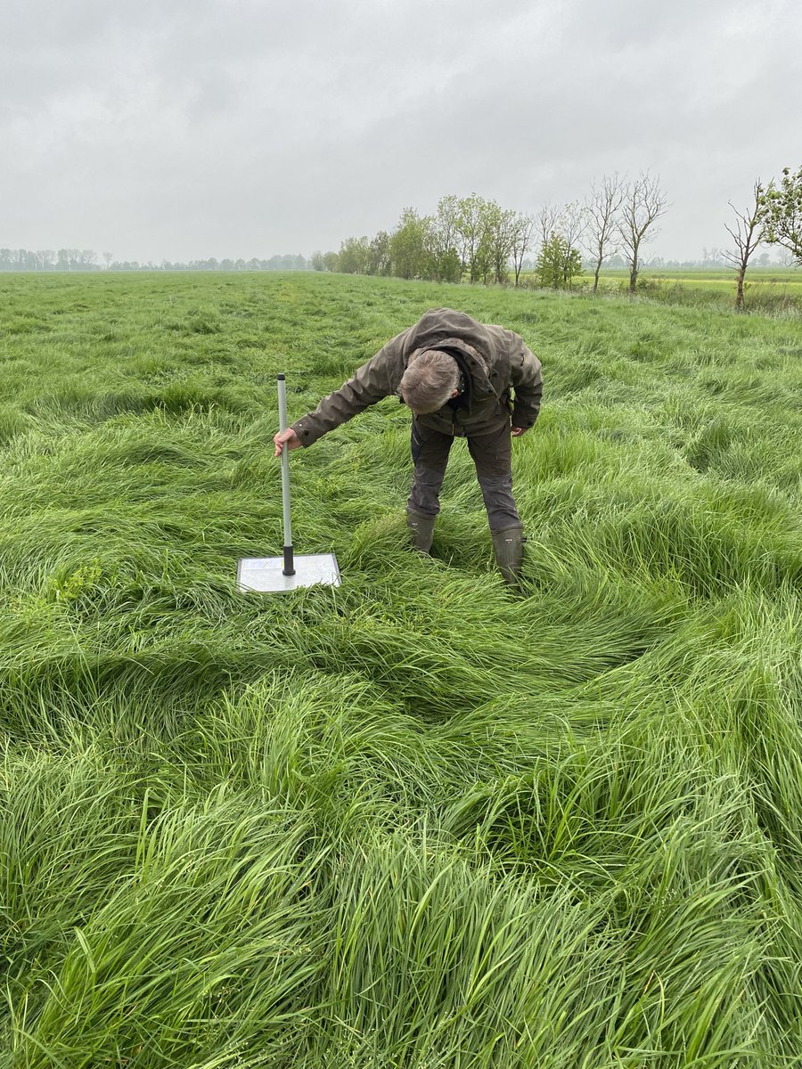 Kees de Heer tweet media