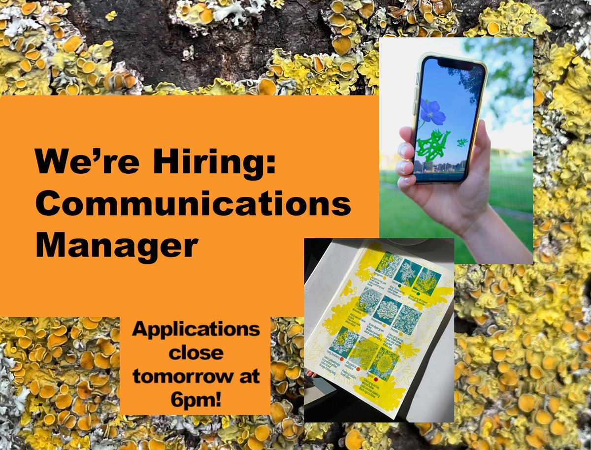 At the Library tweet media