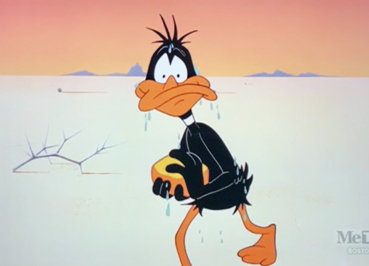 Termite Terrace Club on Twitter "RT GregLitchfield Tuesday Morning