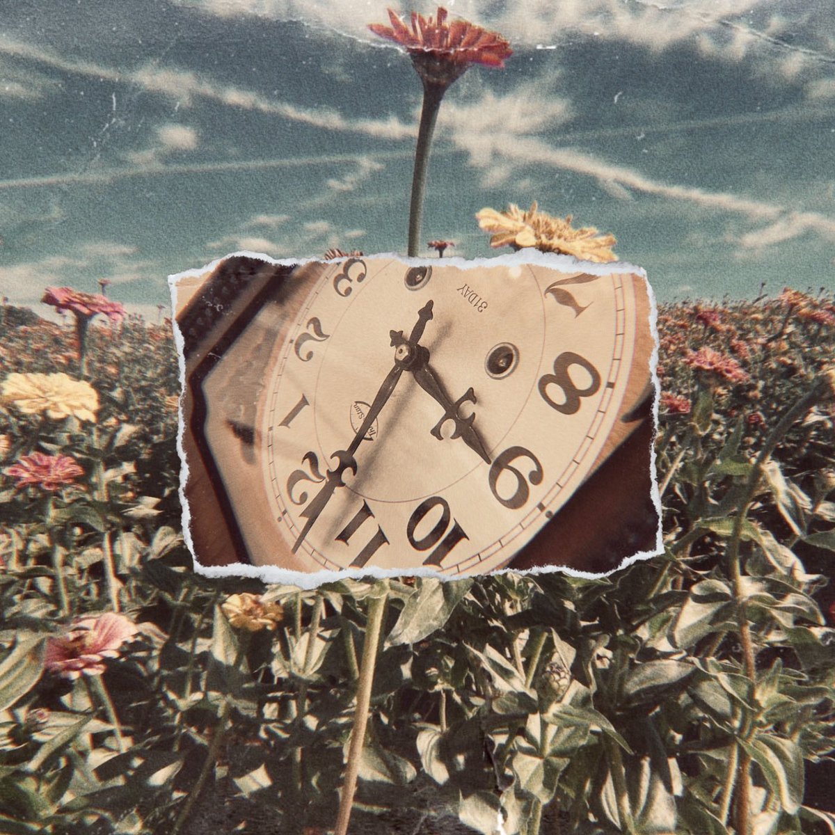 “JUNE” out June 16th ❤️‍🔥 pre-save link in bio ! #newpoppunk #poppunk #poppunknews #altmusic #NewMusic2023 #womeninmusic #2000s