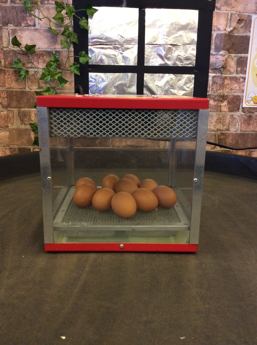 NRInfant's tweet photo. We are so excited to welcome our new eggs from @livingeggsnw 🥚 🐣 We are all set up ready for them to hatch 🐣 https://t.co/P8I7NyvndZ