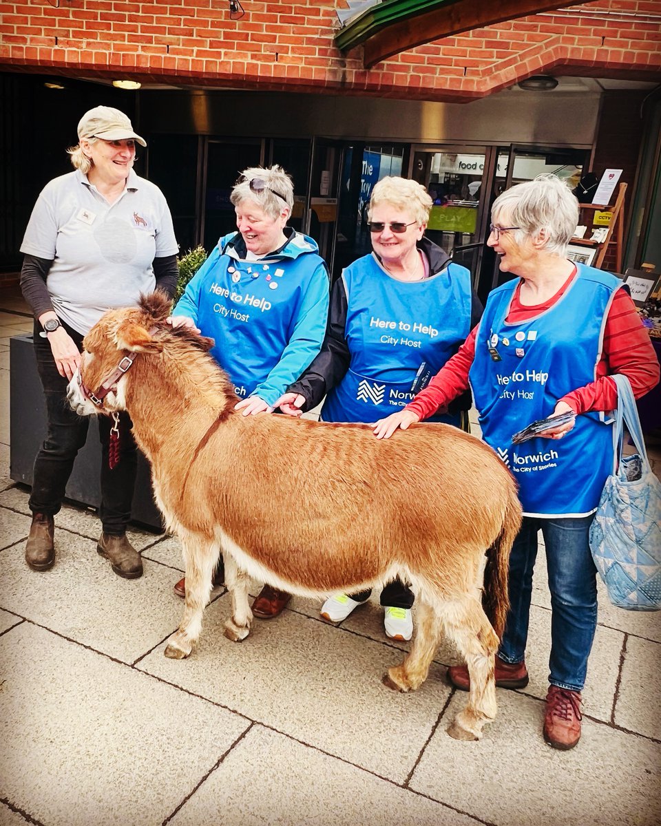 NorwichCityHost's tweet photo. What a start to the week ๐คฉ
Meeting a miniature donkey ๐ซ๐ฅฐ
@NorwichBIDUK @VisitNorwich
#norwich #cityofstories #castlequarter #minidonks #cityhosts #heretohelp https://t.co/hEsk2chw6f