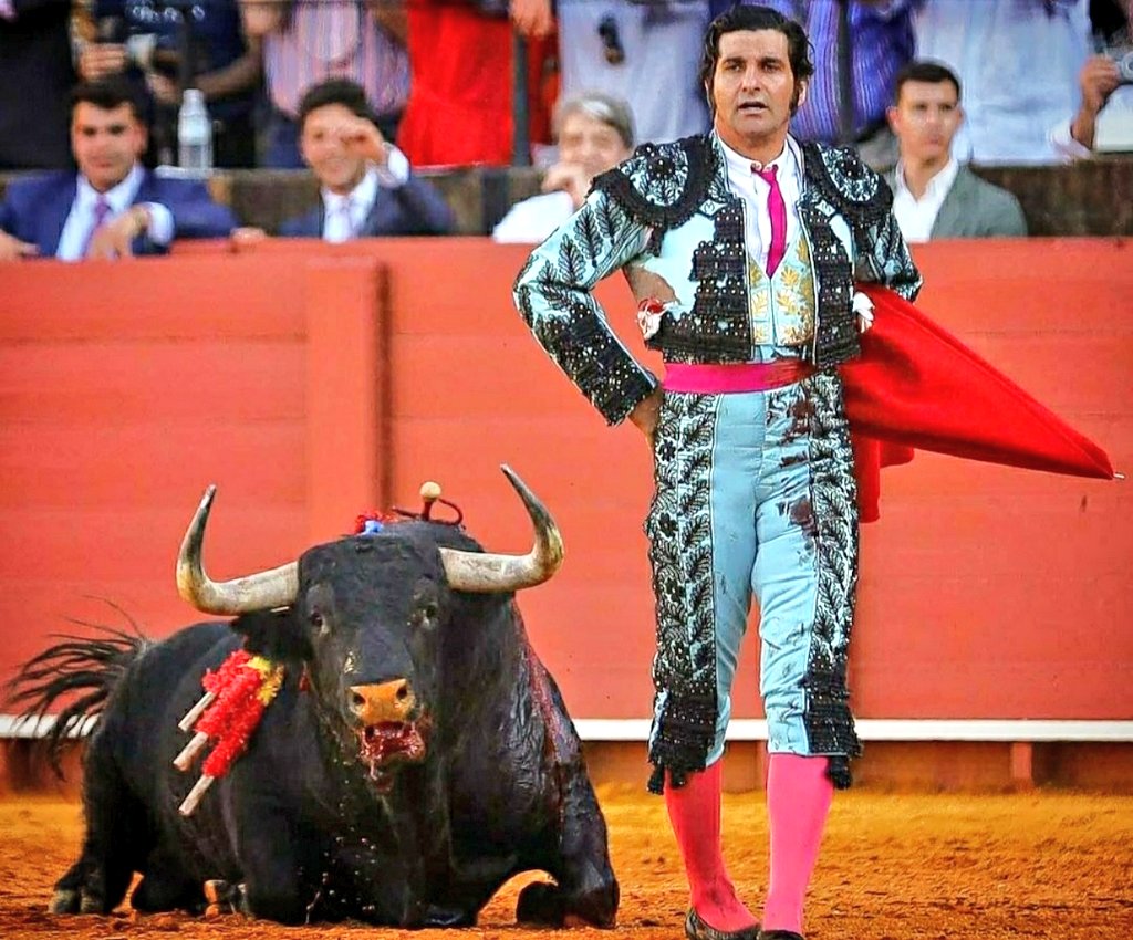 No hay buenos días para los sádicos que disfrutan con el maltrato animal.