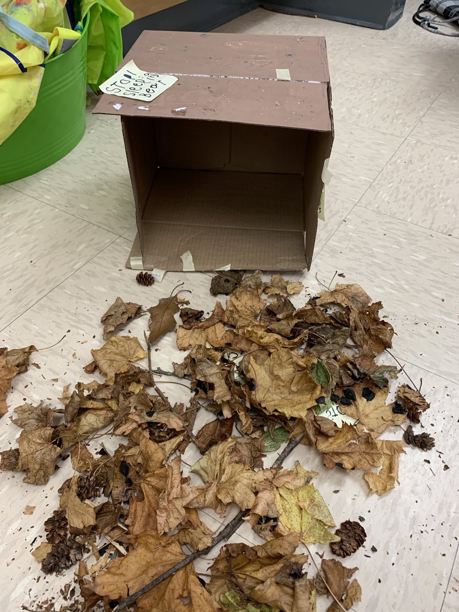 It looks like spring might actually be here!!  Honey Bear has left the building😊 <a href="/RoncalliSchool/">Roncalli Elementary</a>