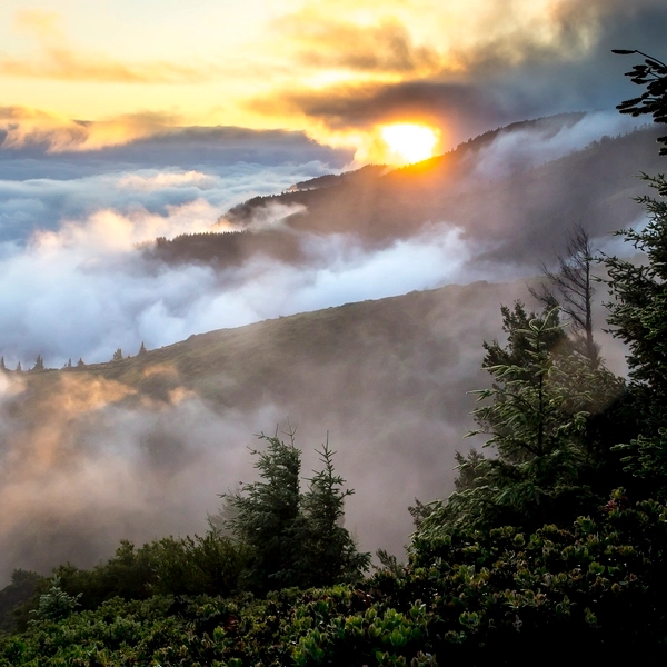 CANTATE presents PIECES OF NATURE: conta.cc/3B2Usg5
conta.cc/3VJiXbL