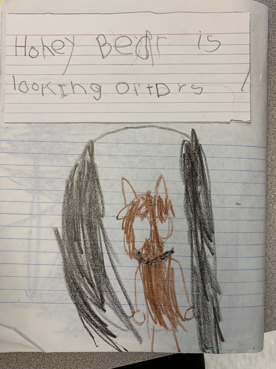 Where do you think Honey Bear went? ⁦<a href="/RoncalliSchool/">Roncalli Elementary</a>⁩