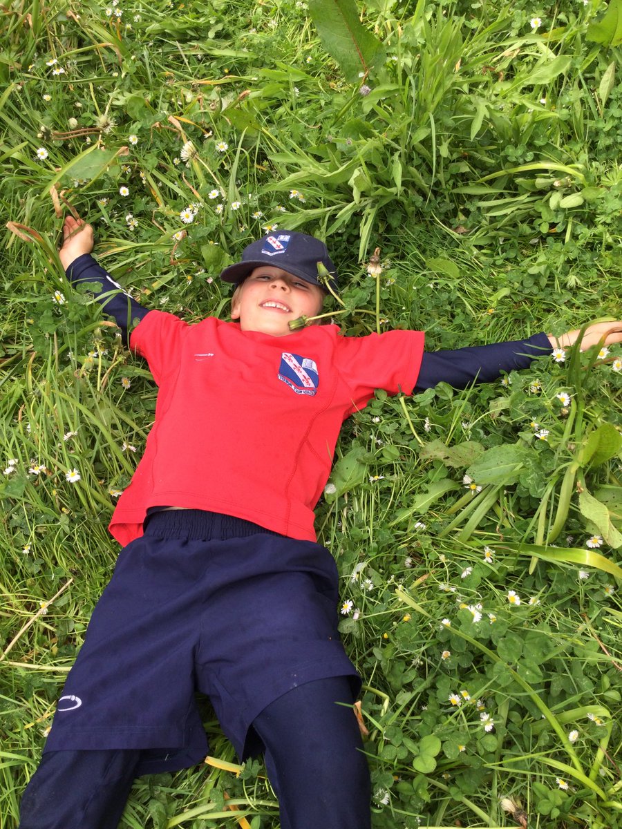 MonktonYear1's tweet photo. Sunny May days!!! 🌼🌻🌞🌻🌼 #WildMonkton #MonktonYear1 https://t.co/zq5a1pKagr