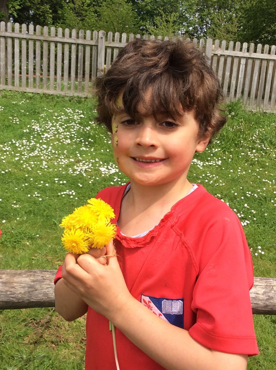 MonktonYear1's tweet photo. Sunny May days!!! 🌼🌻🌞🌻🌼 #WildMonkton #MonktonYear1 https://t.co/zq5a1pKagr