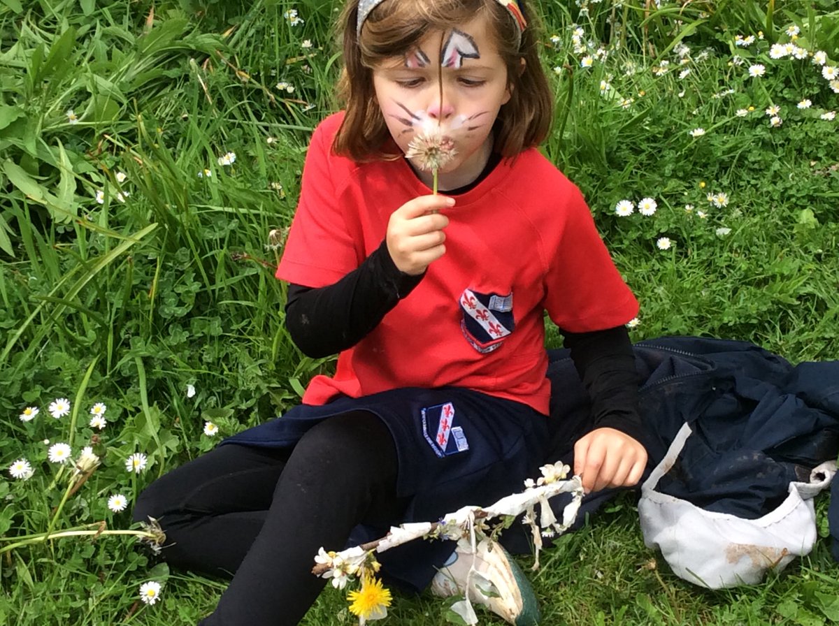MonktonYear1's tweet photo. Sunny May days!!! 🌼🌻🌞🌻🌼 #WildMonkton #MonktonYear1 https://t.co/zq5a1pKagr