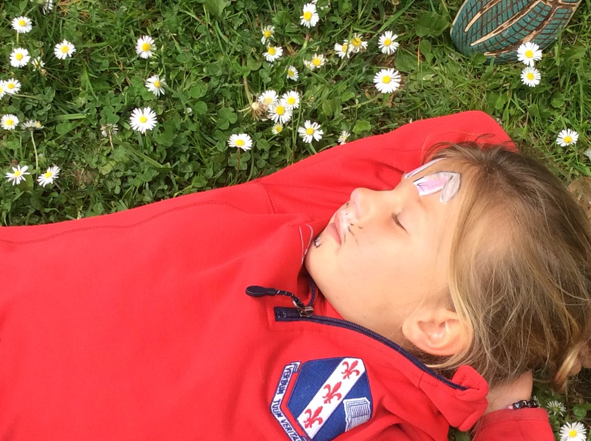 MonktonYear1's tweet photo. Sunny May days!!! 🌼🌻🌞🌻🌼 #WildMonkton #MonktonYear1 https://t.co/zq5a1pKagr