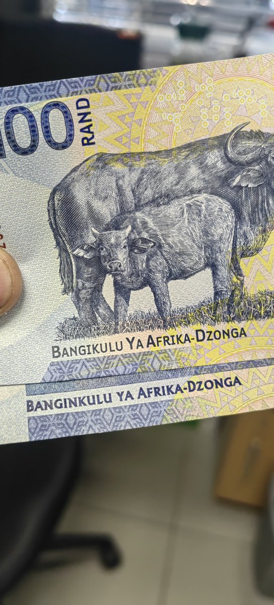 Ke_Arturo's tweet photo. There's already a wrong spelling on the new R100 South African Notes https://t.co/3y8ptANlv6