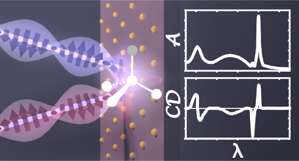 ACSPhotonics's tweet photo. Molecular chirality is transferred to collective modes of gold nanoparticles, allowing spectral control of the detected signal. This avoids intrinsic chiral surface lattice resonances with initially achiral lattices. @Goerlitzer_etal @VogelLab @NanophotS ➡️https://t.co/mdd6HSFUmp https://t.co/vOzxFPdyW0