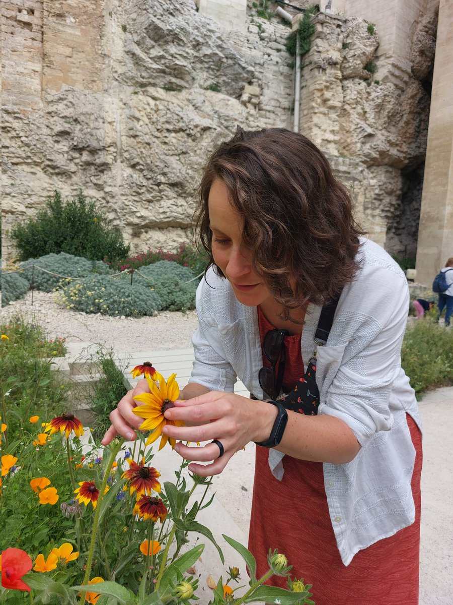 8leggedyogi's tweet photo. I don't care if it's the Pope's Palace, there is always botanizing and bug catching to be done! @PiedmontGA #travelstudy #avignonfrance https://t.co/Aq59CCJYez