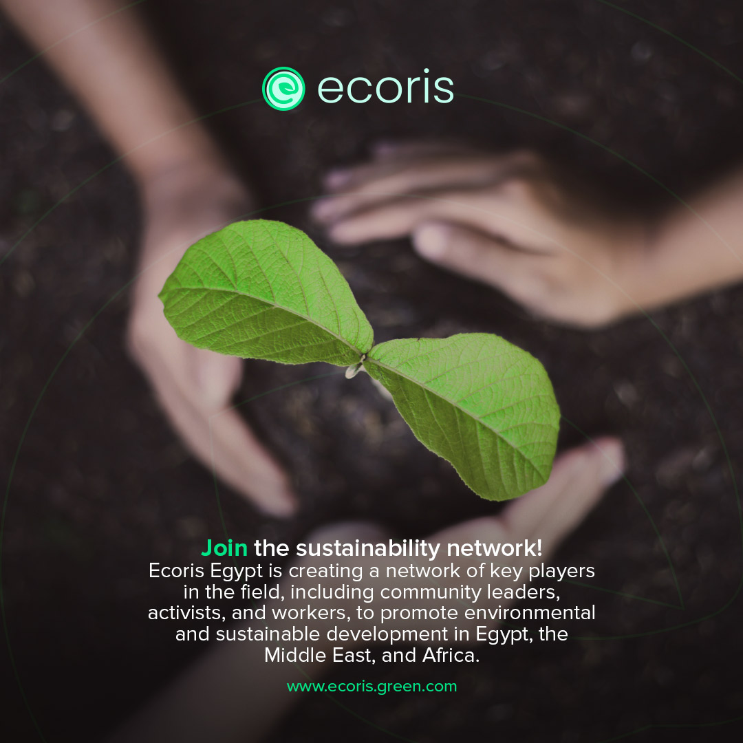 Ecorisgreen's tweet photo. Join the sustainability network and get in touch with the community, leaders, activists, and workers to promote environmental and sustainable development. 🤩

👉 Follow us to get involved! https://t.co/ALbhOfPGtx