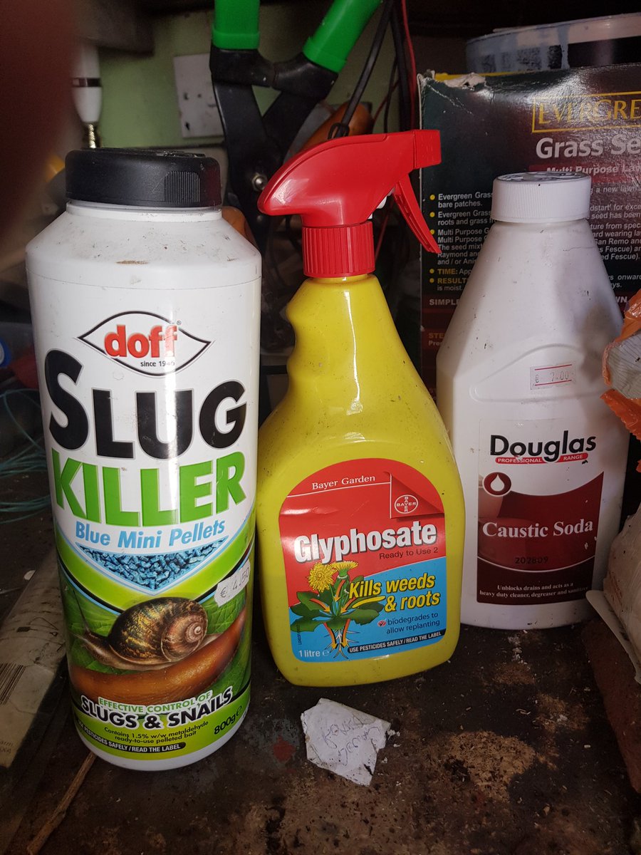 MouseDonegal's tweet photo. Sigh. It's difficult to change the older generation's mindset. I'll keep trying.... #glyphosate #slugpellets ๐ญ๐ญ https://t.co/Gex7KhV5UI