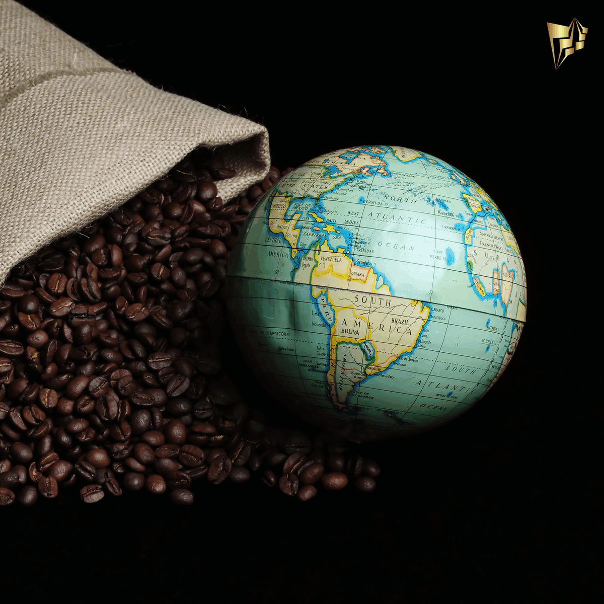 psmkgcoffee's tweet photo. Did you know? #Coffee is the most traded commodity in the world after petroleum. It is indeed the world's #FavoriteBeverage! 

Get your coffee today all the way from Ethiopia at https://t.co/SRl71PXkb6

#coffeedrinkers #specialitycoffee #coffeelovers #ethiopiancoffee https://t.co/h91GCWbhjp