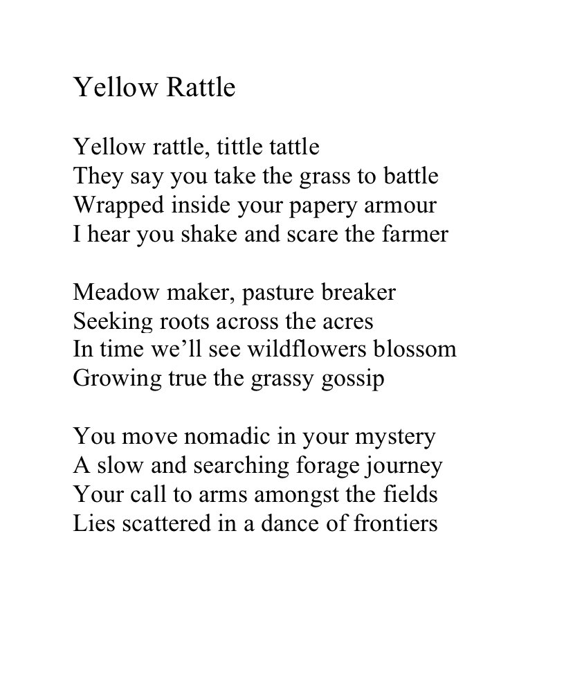 Hello @TopTweetTuesday and @Glenn_A_Barker Here is ‘Yellow Rattle’, a poem I first had published by the wonderful folks @GreenInkPoetry in their ‘Furrows’ collection. Thank you for reading! #poetry #yellowrattle