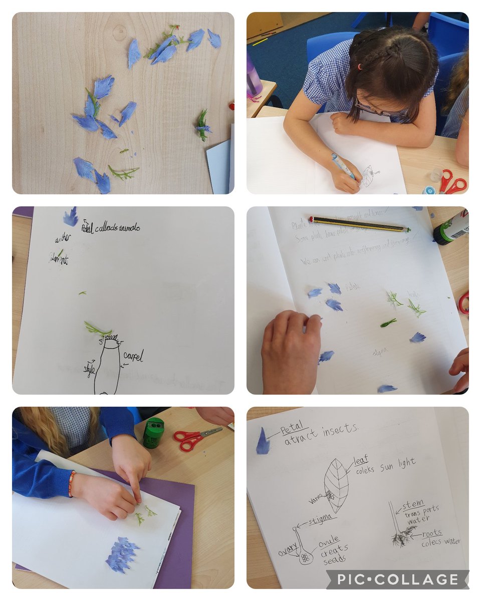 Y5Auckley tweet media