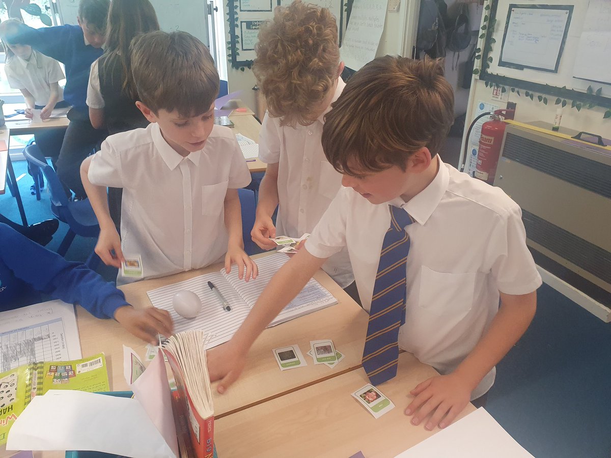 Y5Auckley tweet media