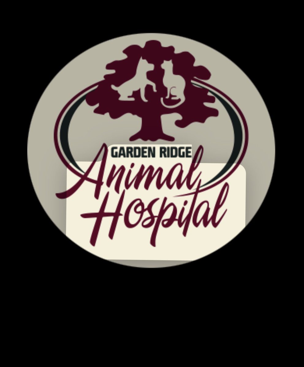 We would like to give a big shout out to Garden Ridge Animal Hospital! DHS dance thanks you for sponsoring us this year! Your generosity is so appreciated!