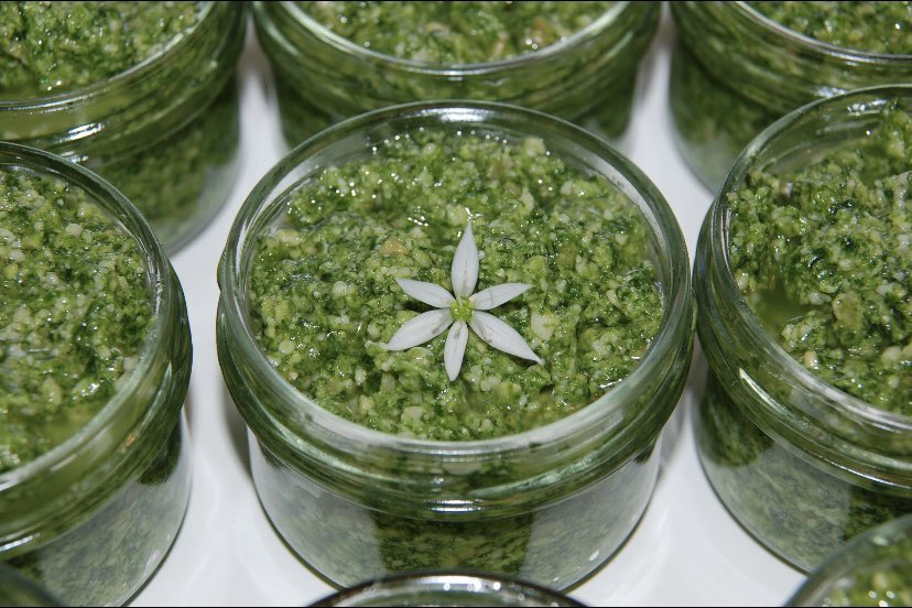 This coming Saturday at Keynsham Farmer’s market I’ll have nut-free wild garlic pesto, wild garlic salt and wild garlic muffins🧄 as well as the normal range of foraged preserves and our new sugar free preserves. 9am-1pm Market Walk.