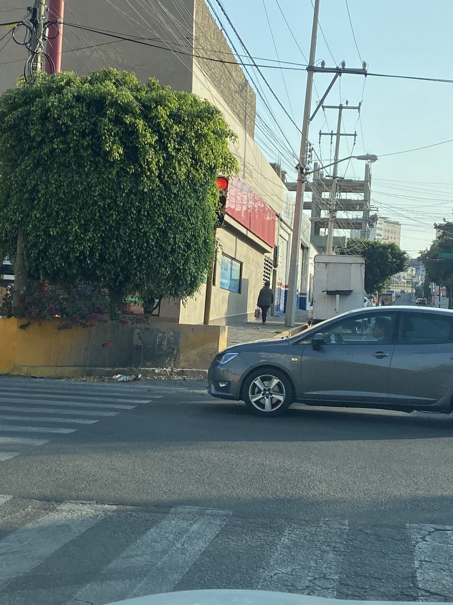 rejasaca's tweet photo. Urge podar el árbol que obstruye el semáforo en la 33 sur con la 23 pte. @PueblaAyto @SSC_Pue https://t.co/F6AuZGJTLk