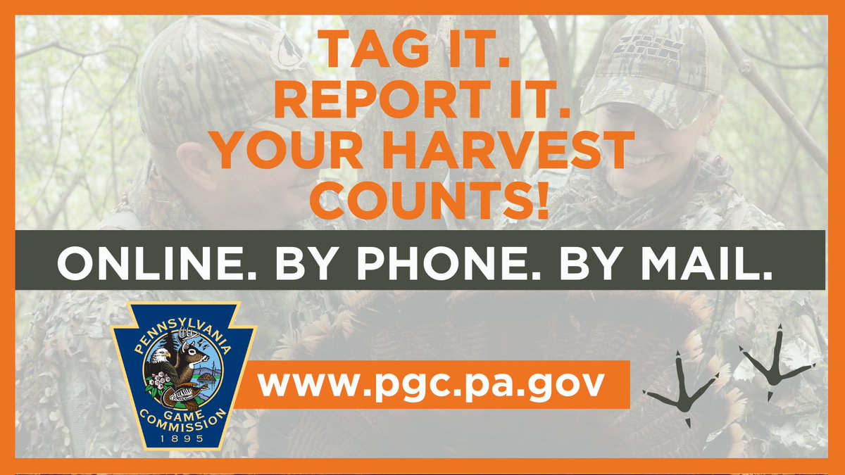 PAGameComm's tweet photo. Turkey hunters: Report your harvest to the @pagamecomm within 10 days of harvest online at https://t.co/x6JMnPfSId or call 1-800-838-4431. #ThanksForHunting https://t.co/CMXuFNAwgY