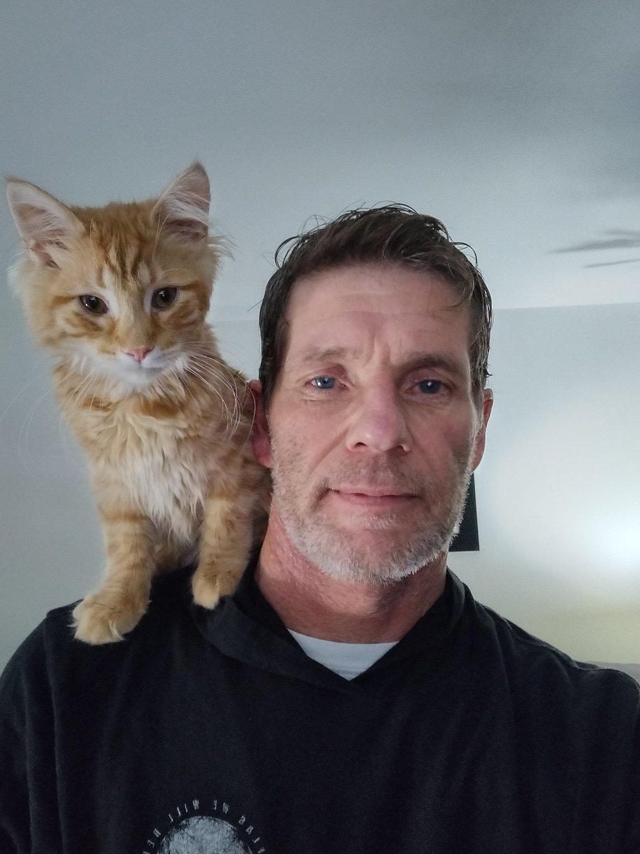 lilbitt4200's tweet photo. Stray cat strut.. I'm a ladies cat...
I'm a Feline Casanova,hey man that's that..
#CATCLASS
#CATSTYLE
#STRAYCATSTRUT https://t.co/1TmO0yIcQw
