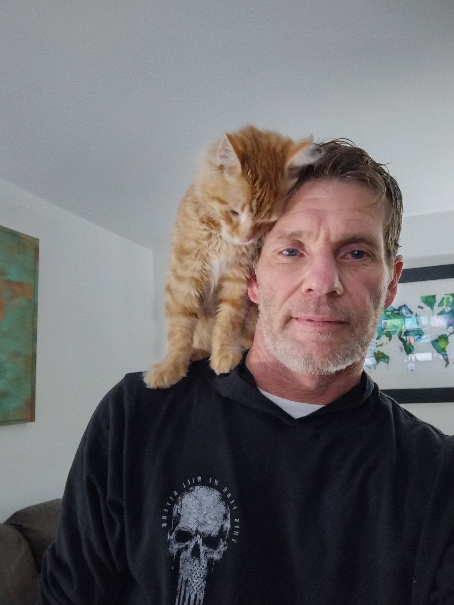 lilbitt4200's tweet photo. Stray cat strut.. I'm a ladies cat...
I'm a Feline Casanova,hey man that's that..
#CATCLASS
#CATSTYLE
#STRAYCATSTRUT https://t.co/1TmO0yIcQw