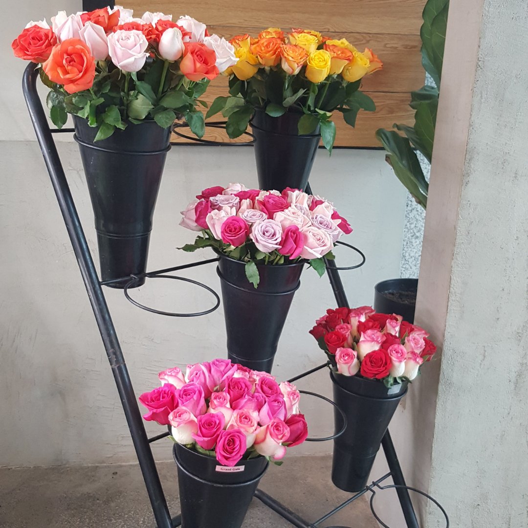 IslandRose's tweet photo. The countdown to Mother’s Day is on! Shop for blooms and unique gifts now at https://t.co/WgIiM4zYWN! https://t.co/eKDvNZ8P7O