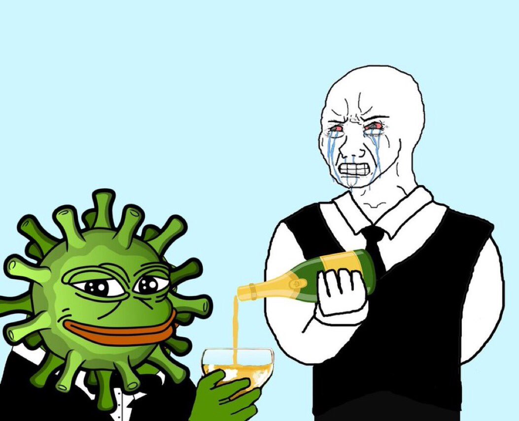 raghavBihani_'s tweet photo. @pepedemic_eth @crypto_bitlord7 Patient ID : @crypto_bitlord7 
Testing For $Pepe-23
Test Result: POSITIVE 
@pepedemic_eth About to infect all of CT!

https://t.co/YhaPmLWva2 https://t.co/gLP4pYIk24
