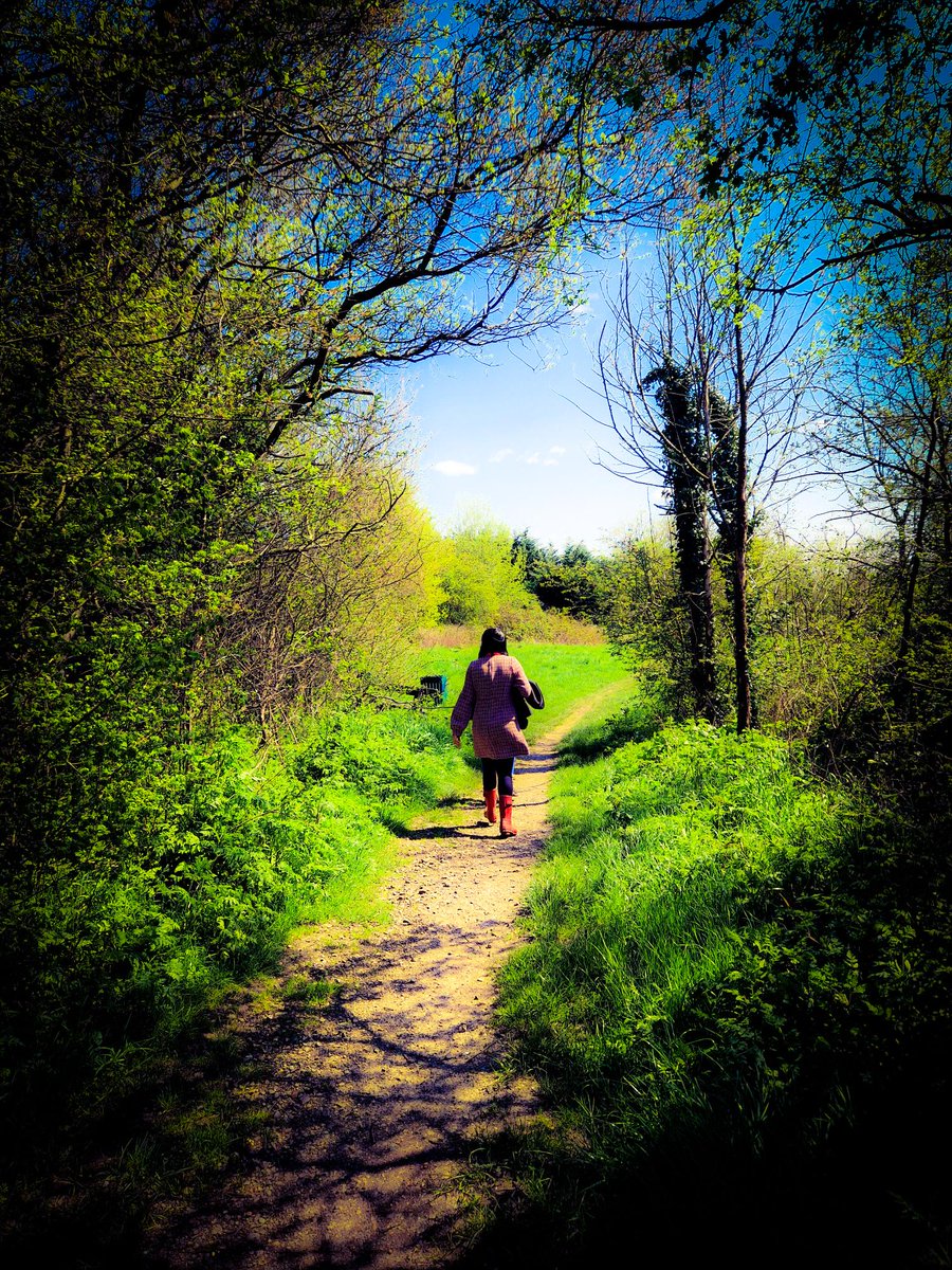 Call Systems Technology tweet media