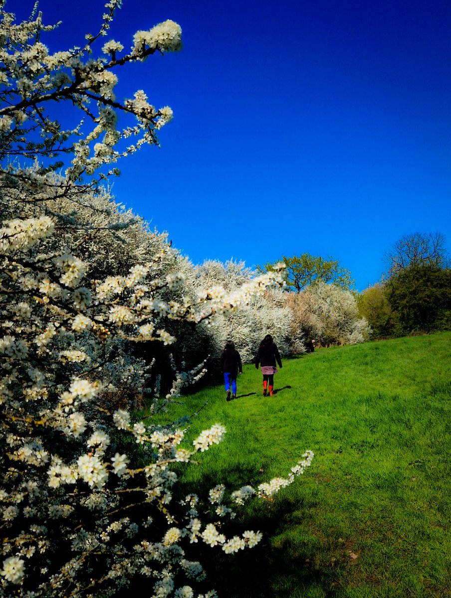 Call Systems Technology tweet media