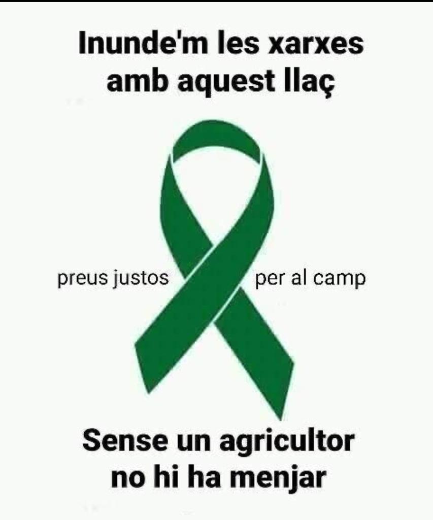 AureliBarrull's tweet photo. https://t.co/wfcz04i6Pv