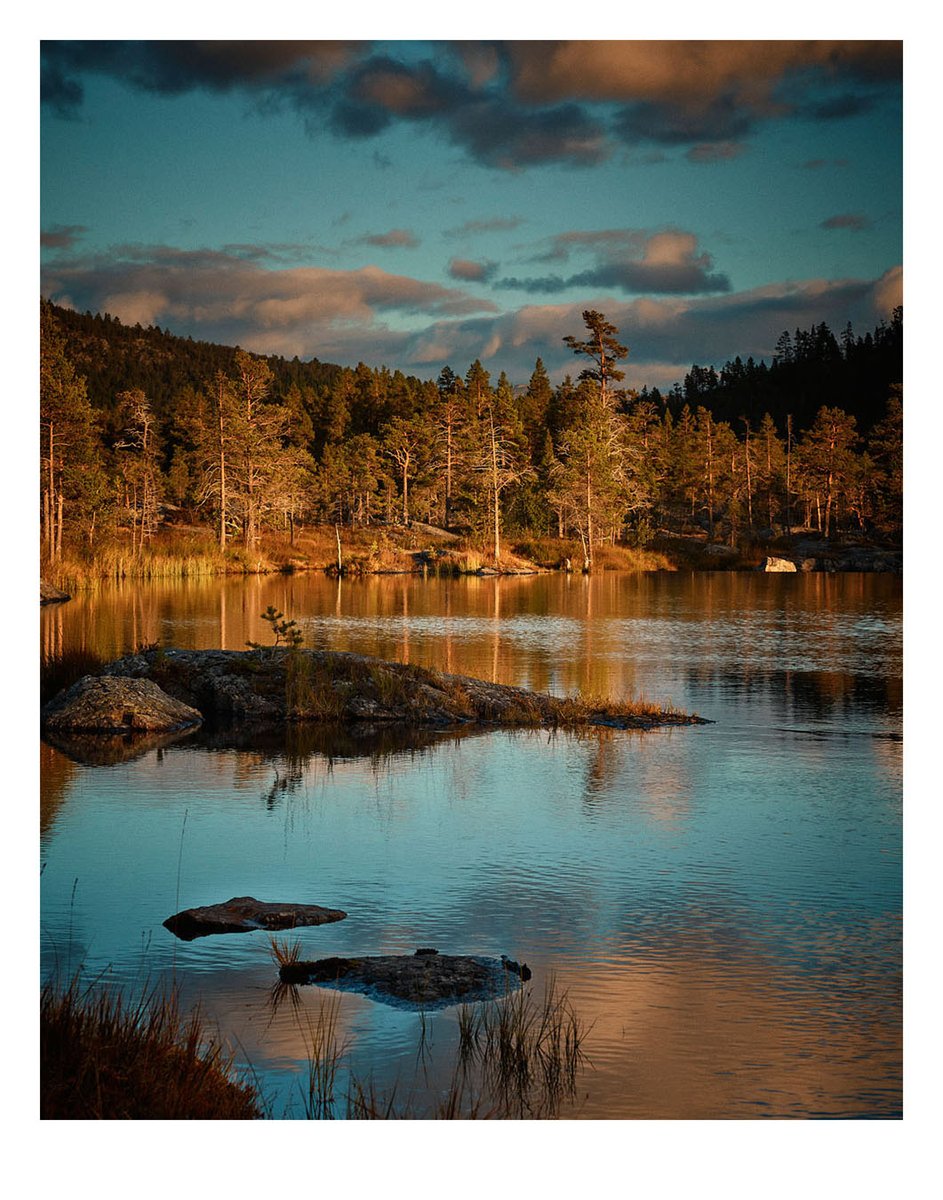 studiotoffa's tweet photo. Colour - Images | Toffa Berg Photography https://t.co/JzFaXxGlp3 https://t.co/uSX5J5fJdM