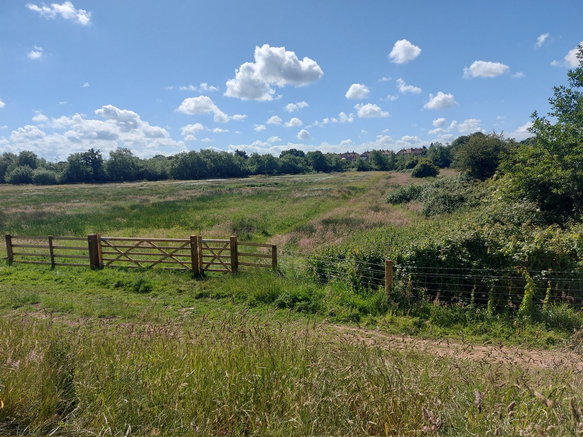 mummychill's tweet photo. #SomersetMyHappyPlace
#TheMeadsBridgwater https://t.co/C1iPJeD9Jw
