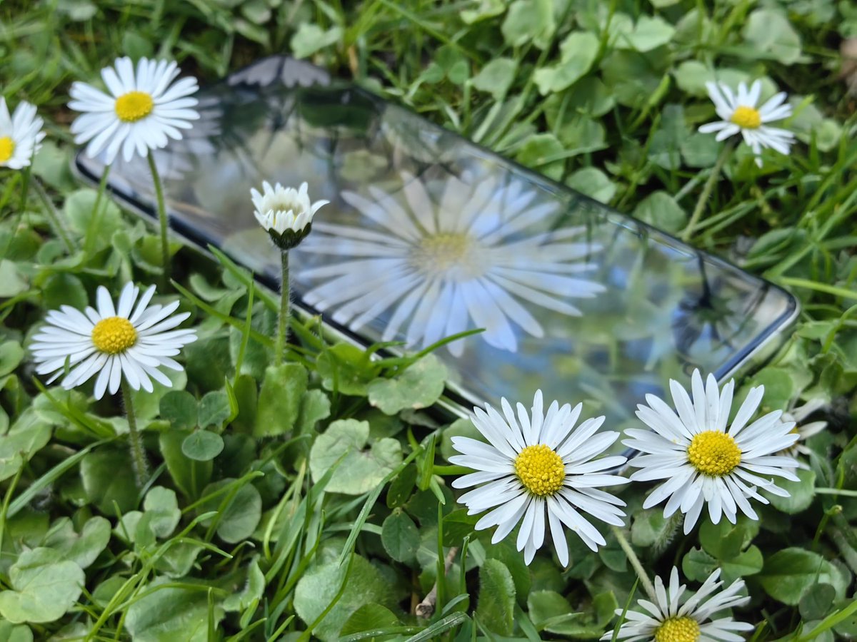 TECHNOSenior1's tweet image. Huawei #P60Pro - jako recenzent technologiczny jestem związana z wieloma markami – praktycznie cały czas jest u mnie jakiś telefon do testów. W każdym z nich szukam tych dobrych i złych stron. Zapraszam
@PolskaHuawei 
@Huawei_Europe 
@Huawei 
#własnytest
.wp.me/par2as-122J