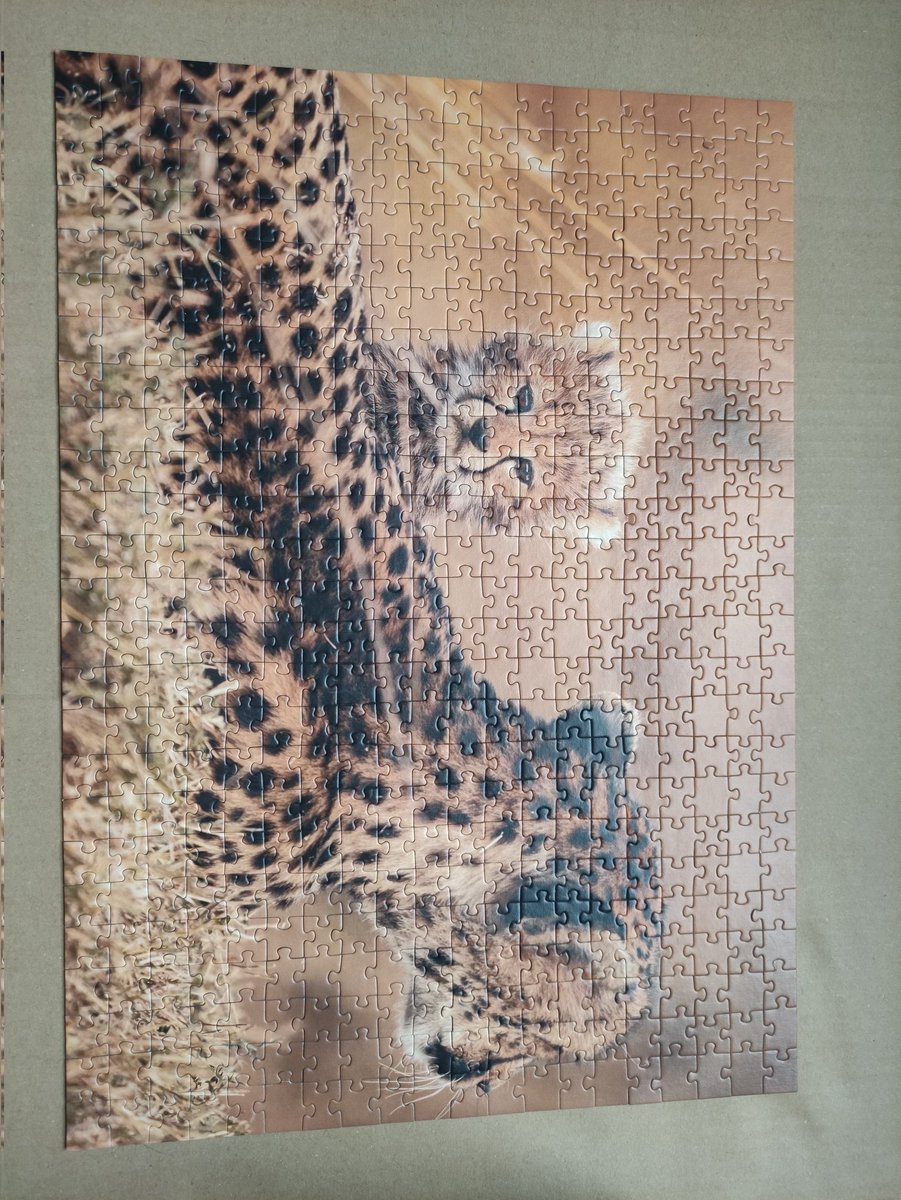 Cm_Julienne's tweet photo. Le premier cadeau de Noël est terminé ! Il a suscité un enthousiasme graduel : plus on avance, plus les volontaires sont nombreux ! Un travail d'endurance et d'équipe ! #effort #puzzle #concentration #reflexion https://t.co/MoHavpClRO